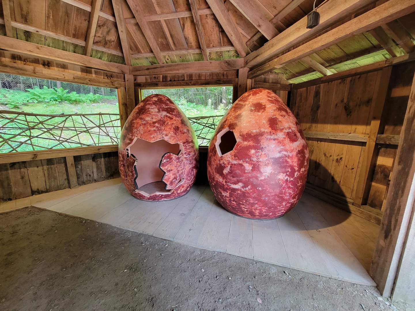 Squam Lakes NSC, 7/22 - Interactive eggs