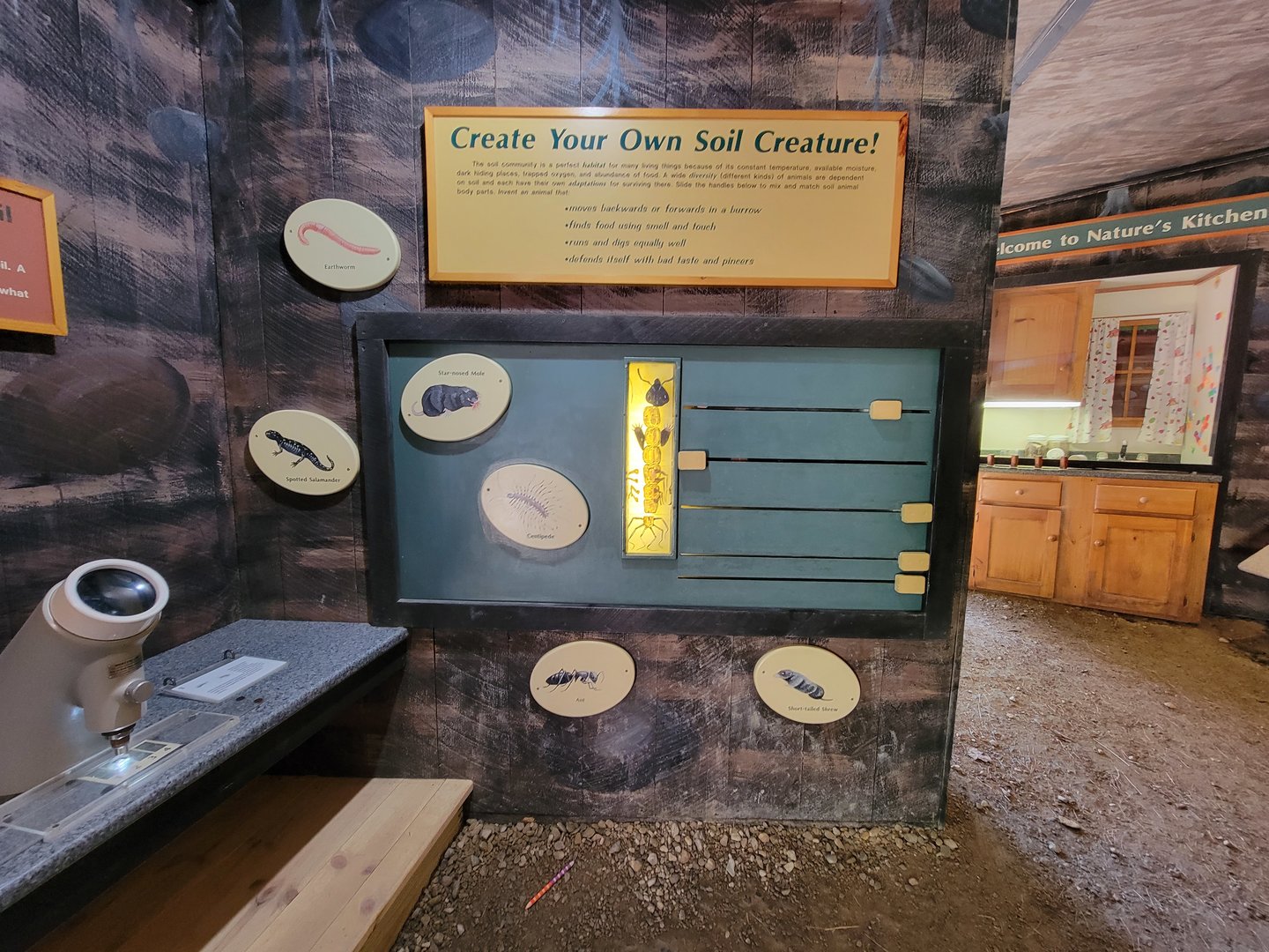 Squam Lakes NSC, 7/22 - Life Underground, create your own creature