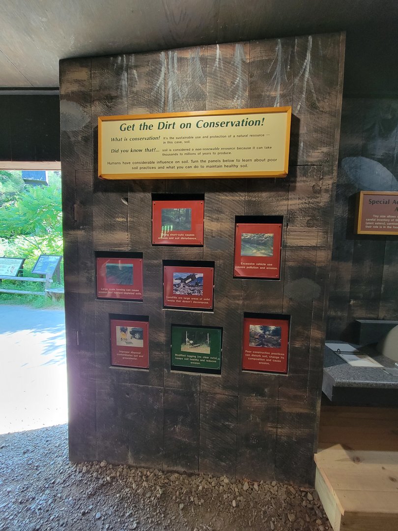 Squam Lakes NSC, 7/22 - Life Underground, dirt conservation