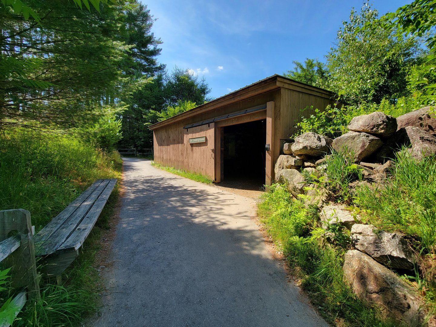 Squam Lakes NSC, 7/22 - Life Underground