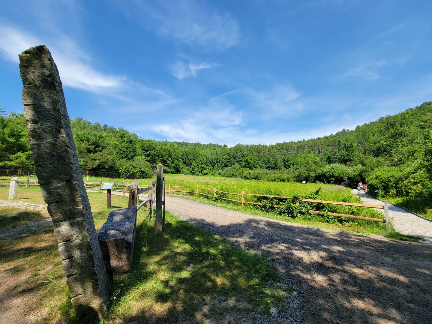 Squam Lakes NSC, 7/22 - Meadow, geology area