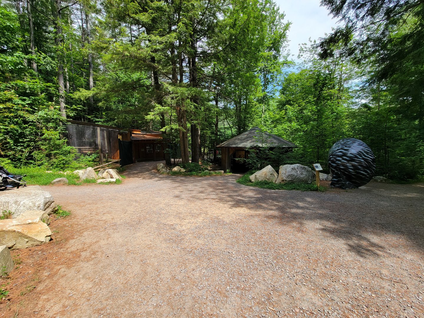 Squam Lakes NSC, 7/22 - More raptor exhibits