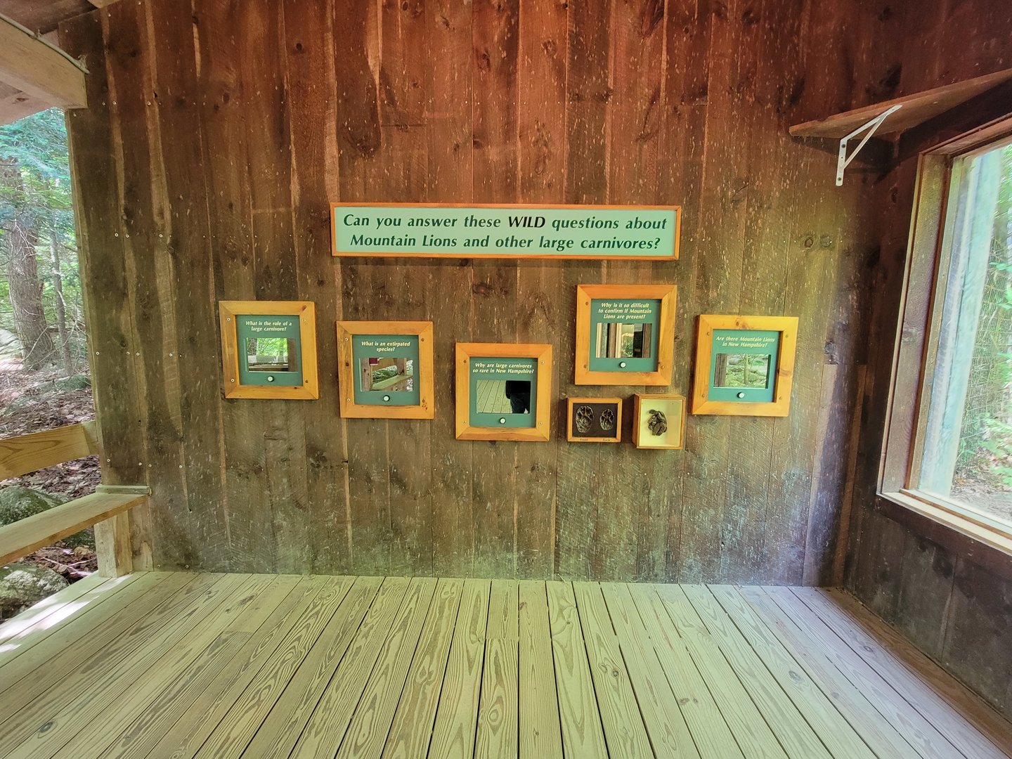 Squam Lakes NSC, 7/22 - Mountain lion interactive questions