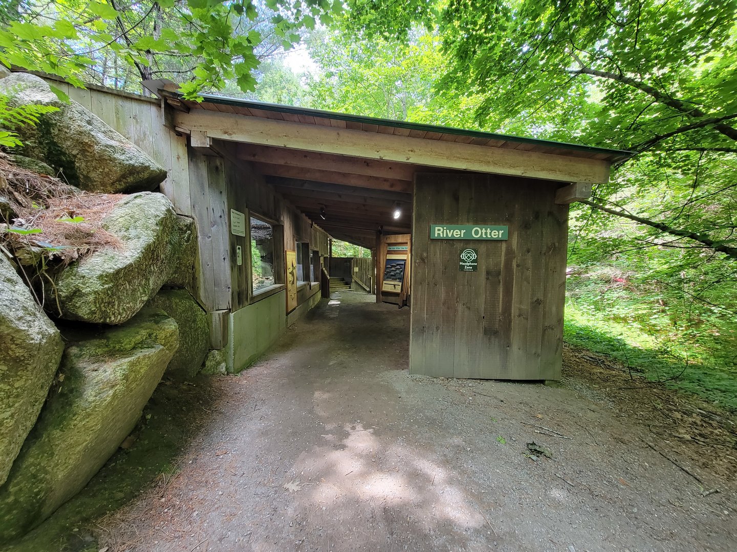 Squam Lakes NSC, 7/22 - North American river otter