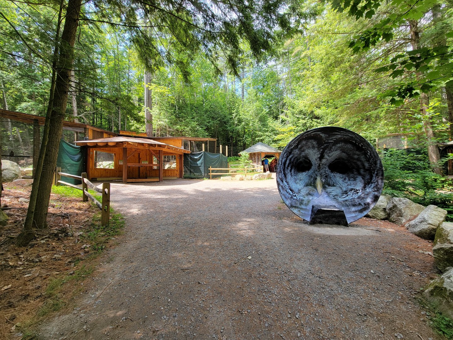 Squam Lakes NSC, 7/22 - Other owl hearing bowl, raptor exhibits