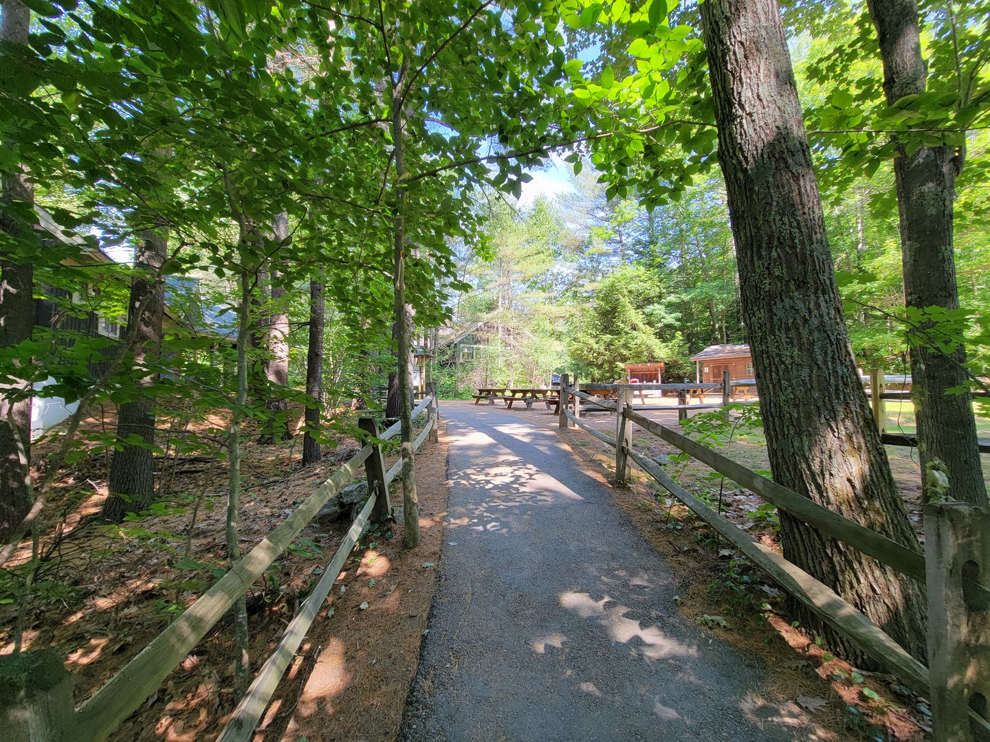 Squam Lakes NSC, 7/22 - Path past wood energy exhibit