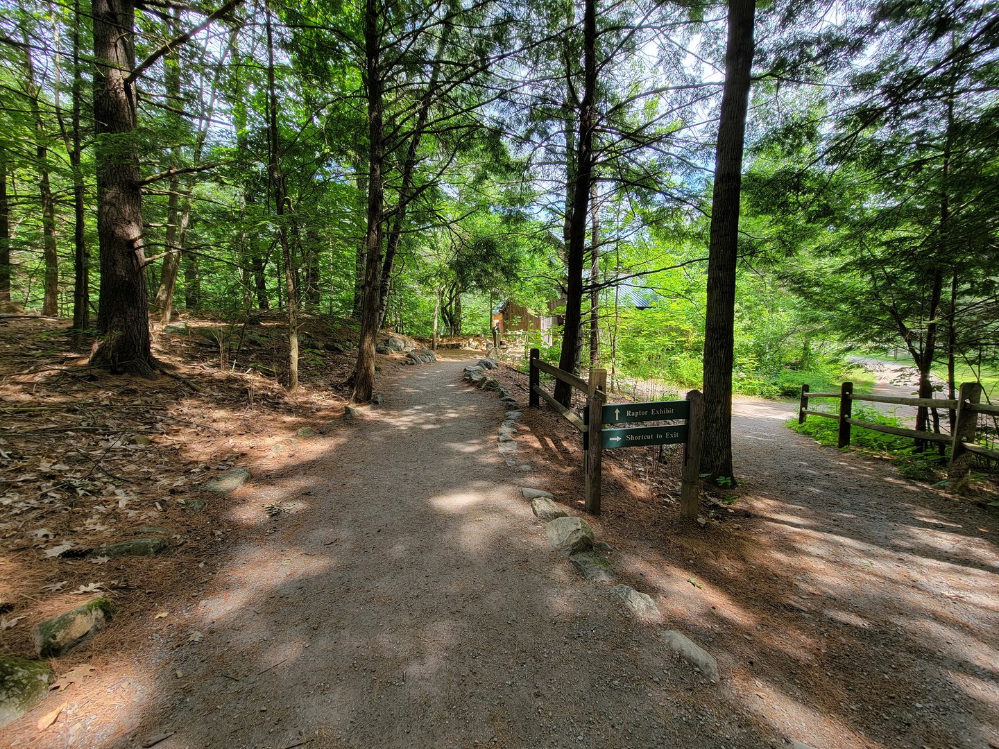 Squam Lakes NSC, 7/22 - Path