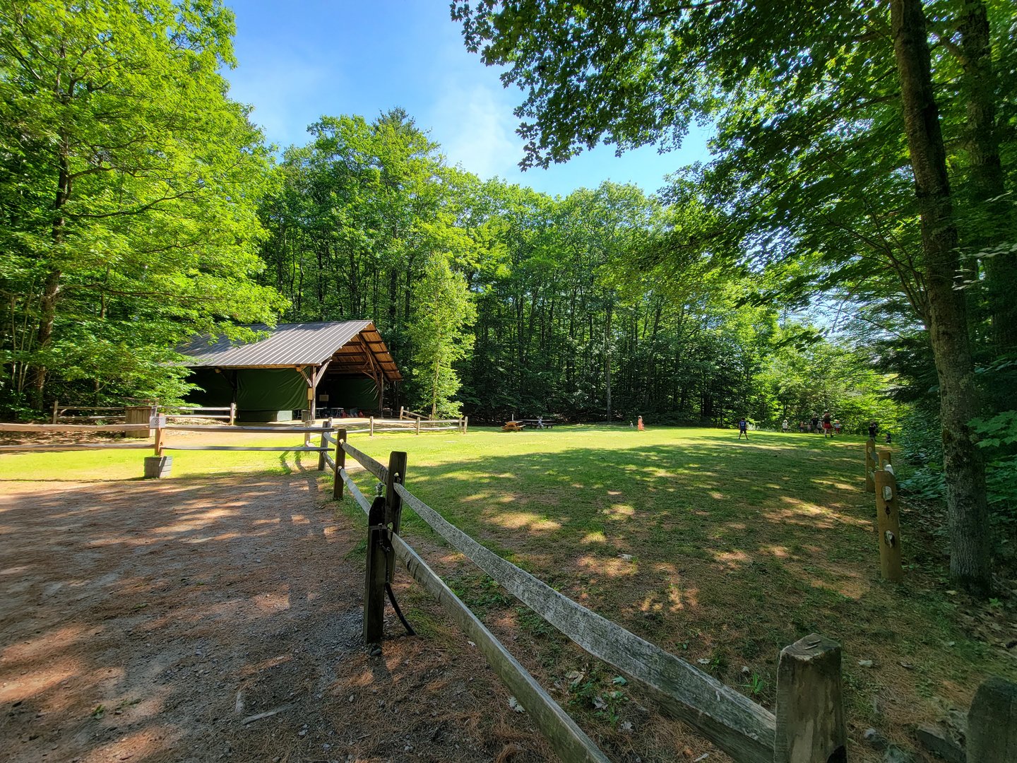 Squam Lakes NSC, 7/22 - Picnic area