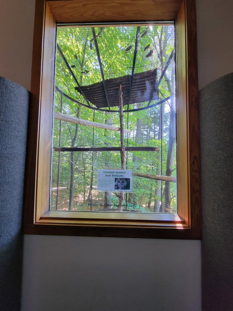 Squam Lakes NSC, 7/22 - Trailhead Gallery, Barred Owl (temporarily empty)