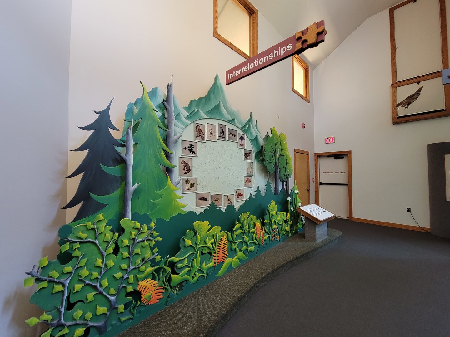 Squam Lakes NSC, 7/22 - Trailhead Gallery, interrelationships