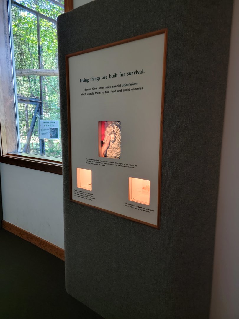 Squam Lakes NSC, 7/22 - Trailhead Gallery, living things are built for survival