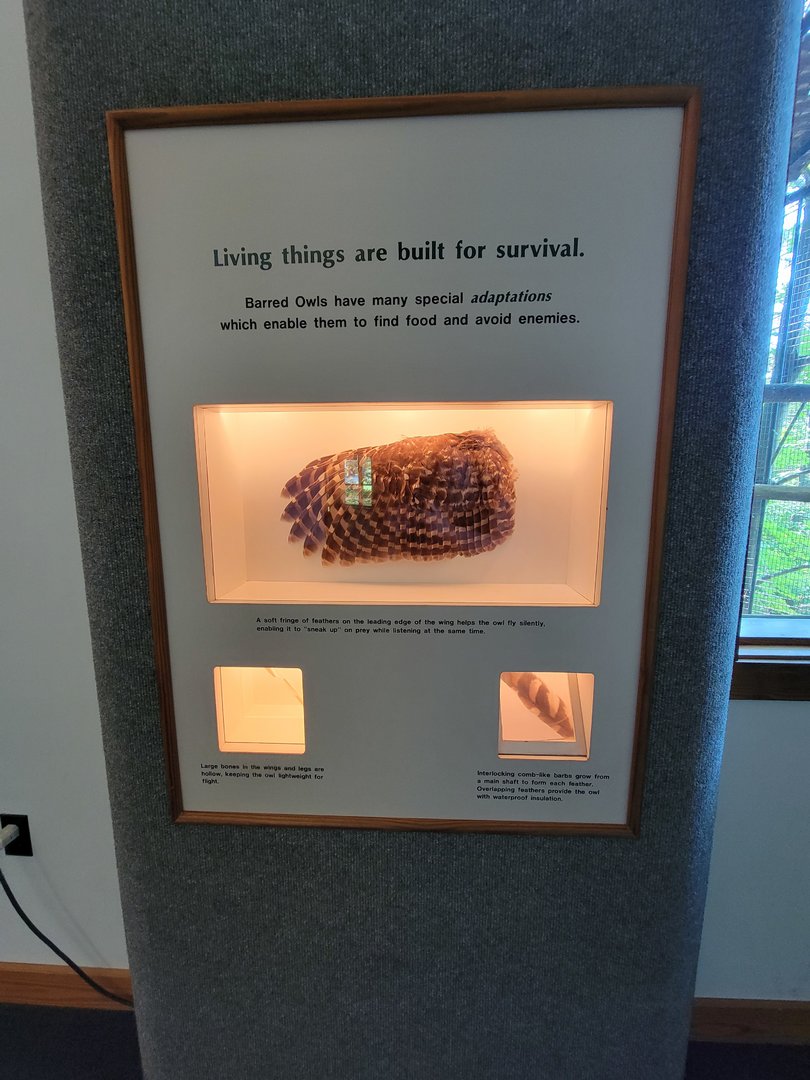 Squam Lakes NSC, 7/22 - Trailhead Gallery, living things are built for survival