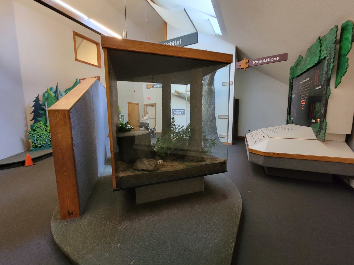 Squam Lakes NSC, 7/22 - Trailhead Gallery, White-footed Mice