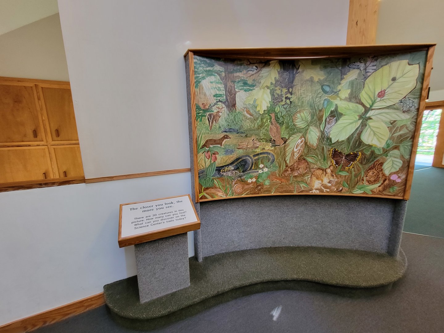 Squam Lakes NSC, 7/22 - Trailhead Gallery