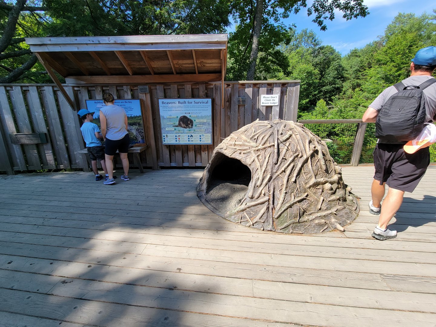 Squam Lakes NSC, 7/22 - Water Matters, Beaver info