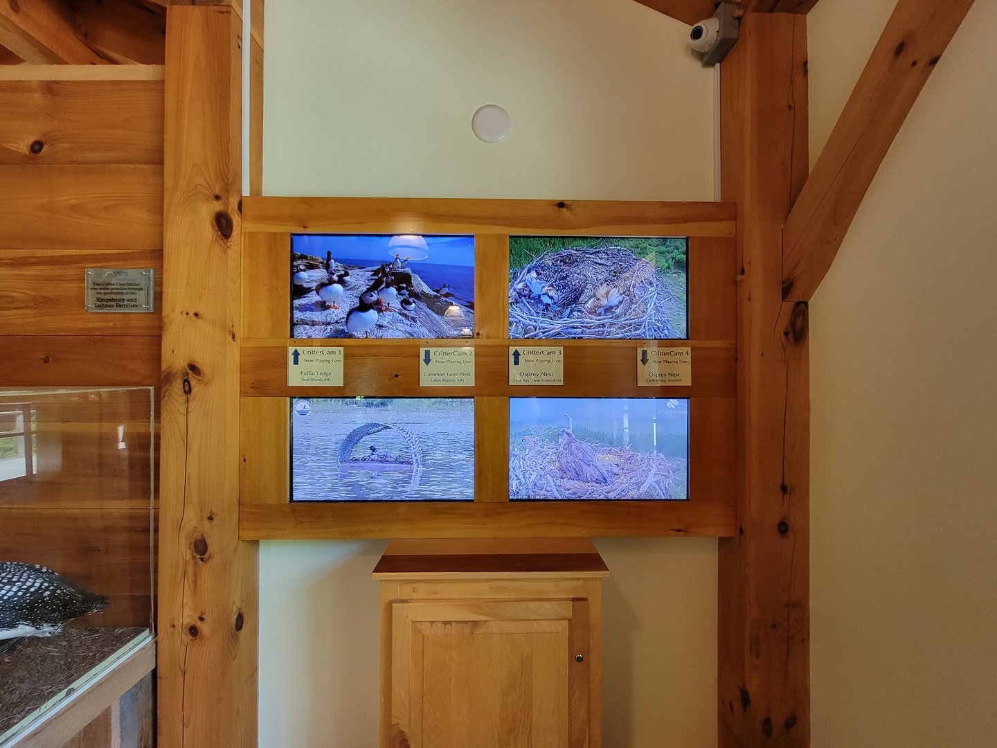 Squam Lakes NSC, 7/22 - Water Matters, Critter cams from around the country