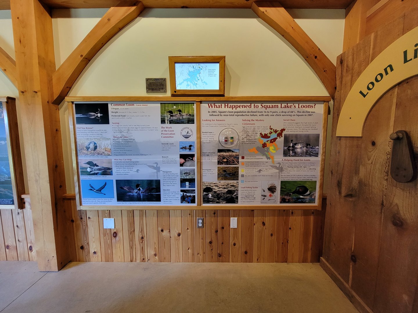 Squam Lakes NSC, 7/22 - Water Matters, Loons