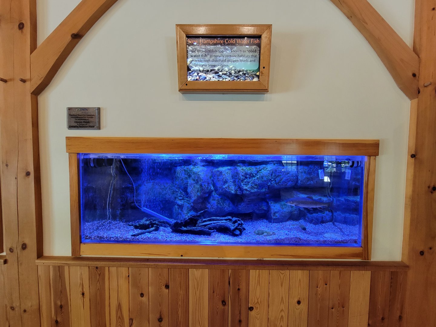 Squam Lakes NSC, 7/22 - Water Matters, New Hampshire Cold Water Fish