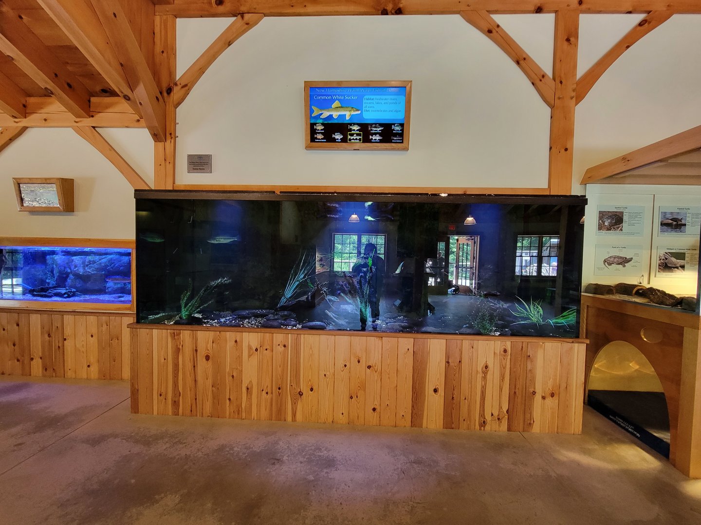 Squam Lakes NSC, 7/22 - Water Matters, New Hampshire Warm Water Fish