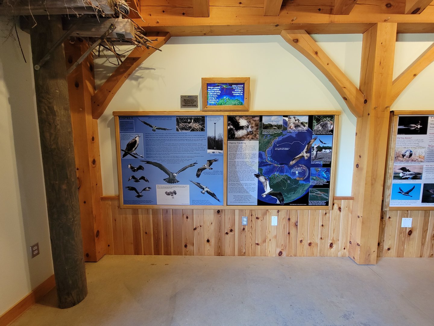 Squam Lakes NSC, 7/22 - Water Matters, Ospreys