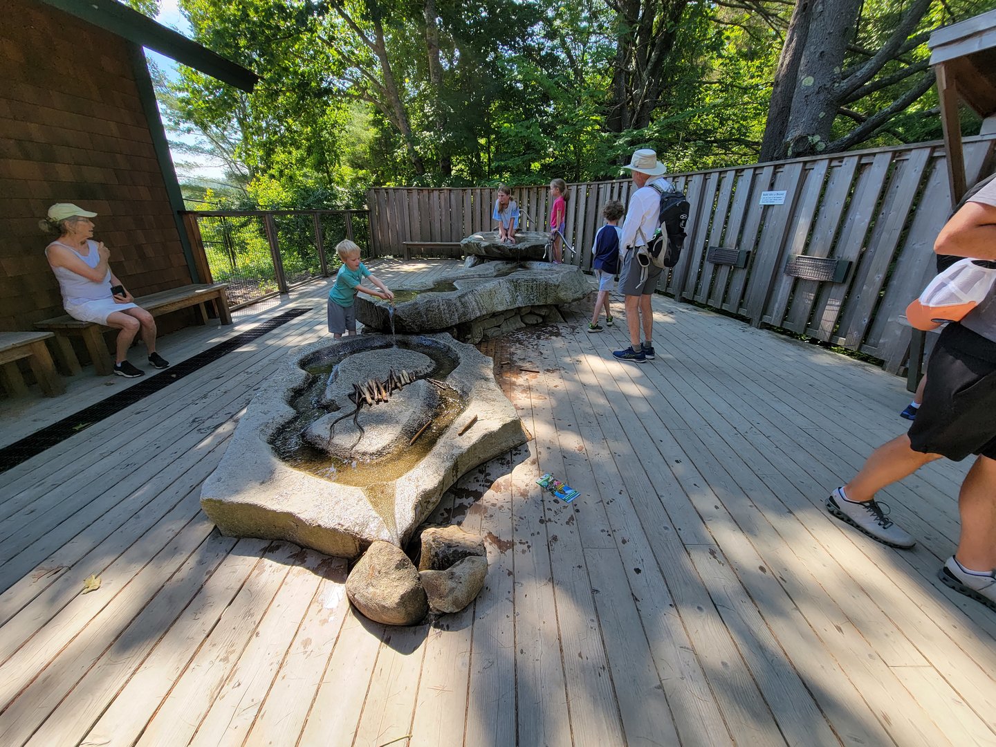 Squam Lakes NSC, 7/22 - Water Matters, Water table