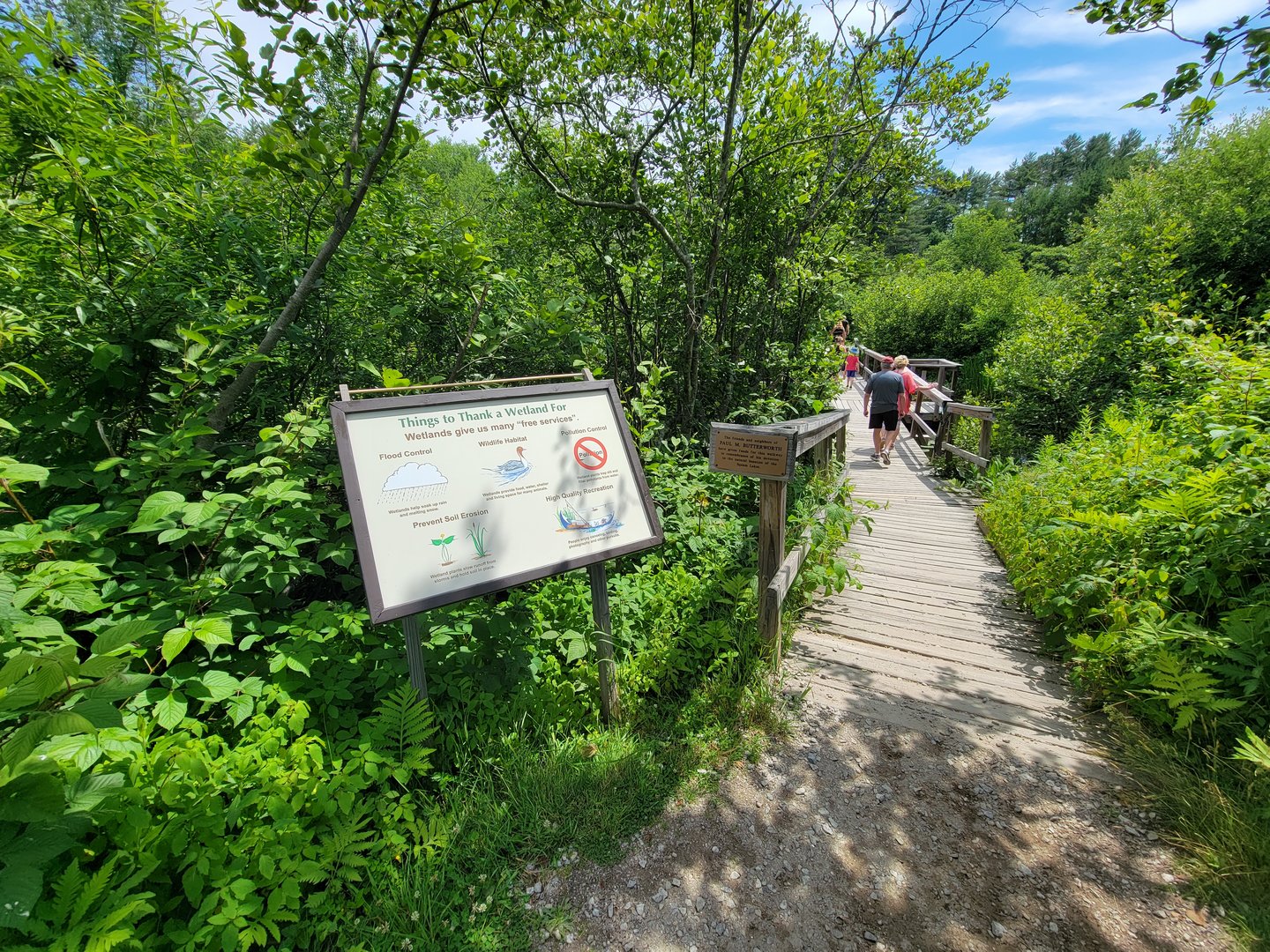 Squam Lakes NSC, 7/22 - Wetlands