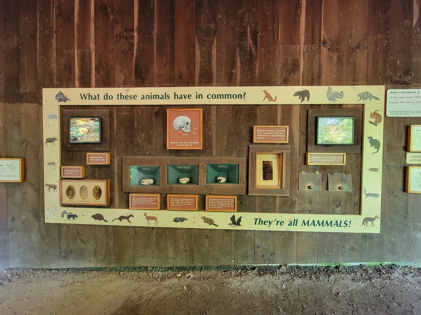 Squam Lakes NSC, 7/22 - What do these animals have in common?