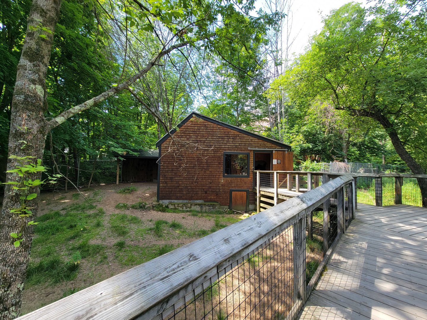 Squam Lakes NSC, 7/22 - Whitetail deer info building