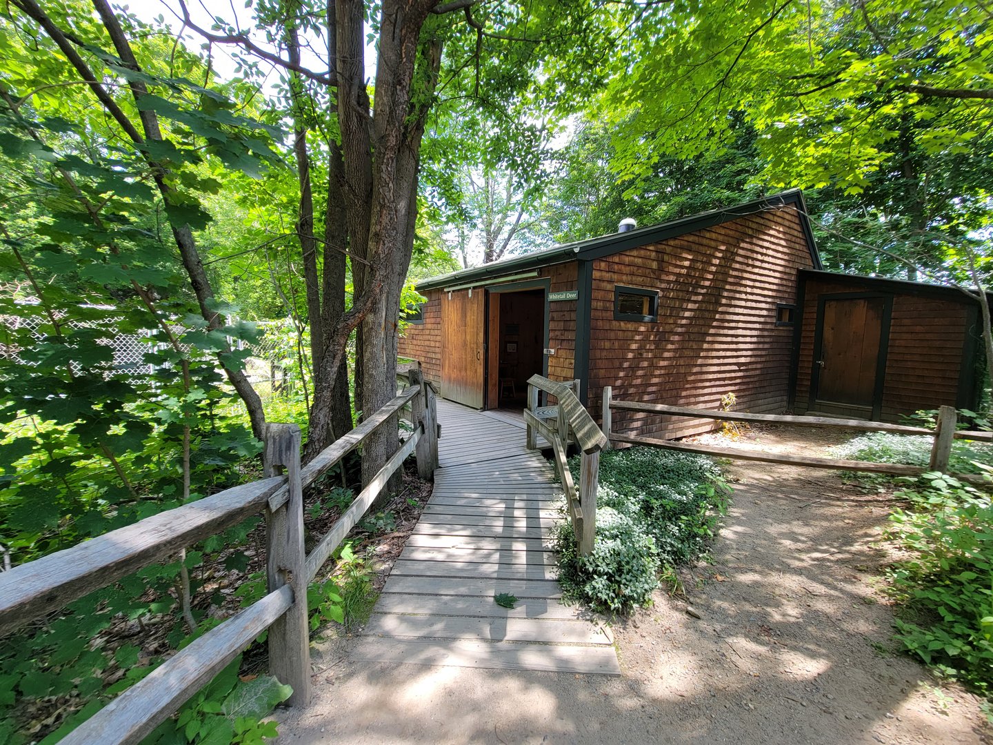 Squam Lakes NSC, 7/22 - Whitetail deer info building