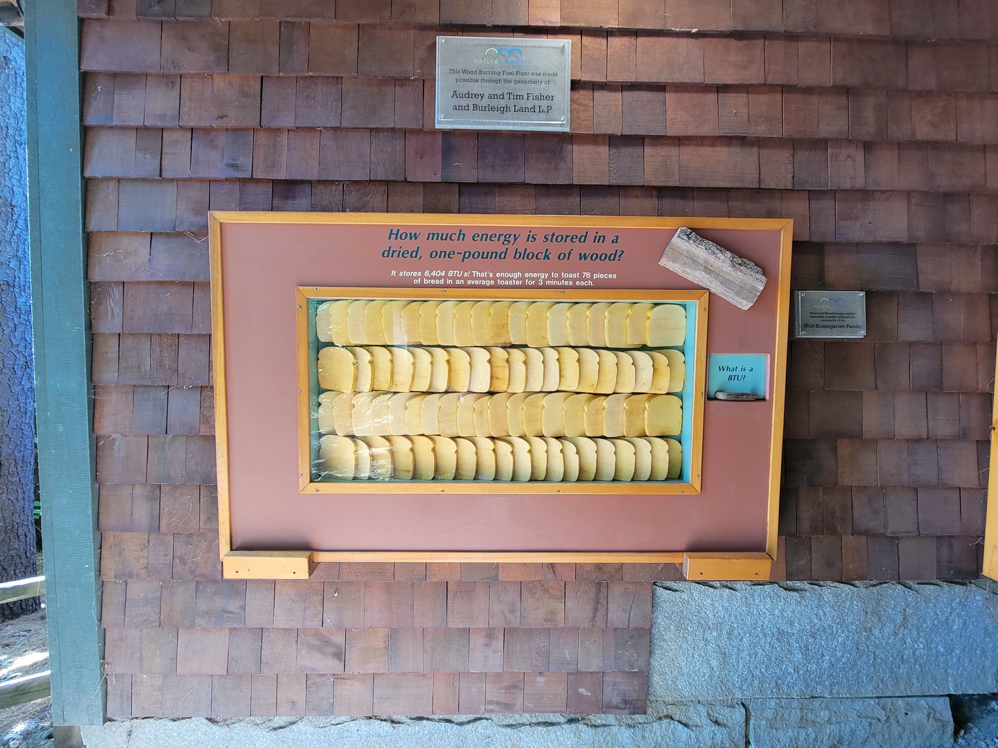Squam Lakes NSC, 7/22 - Wood Energy Exhibit