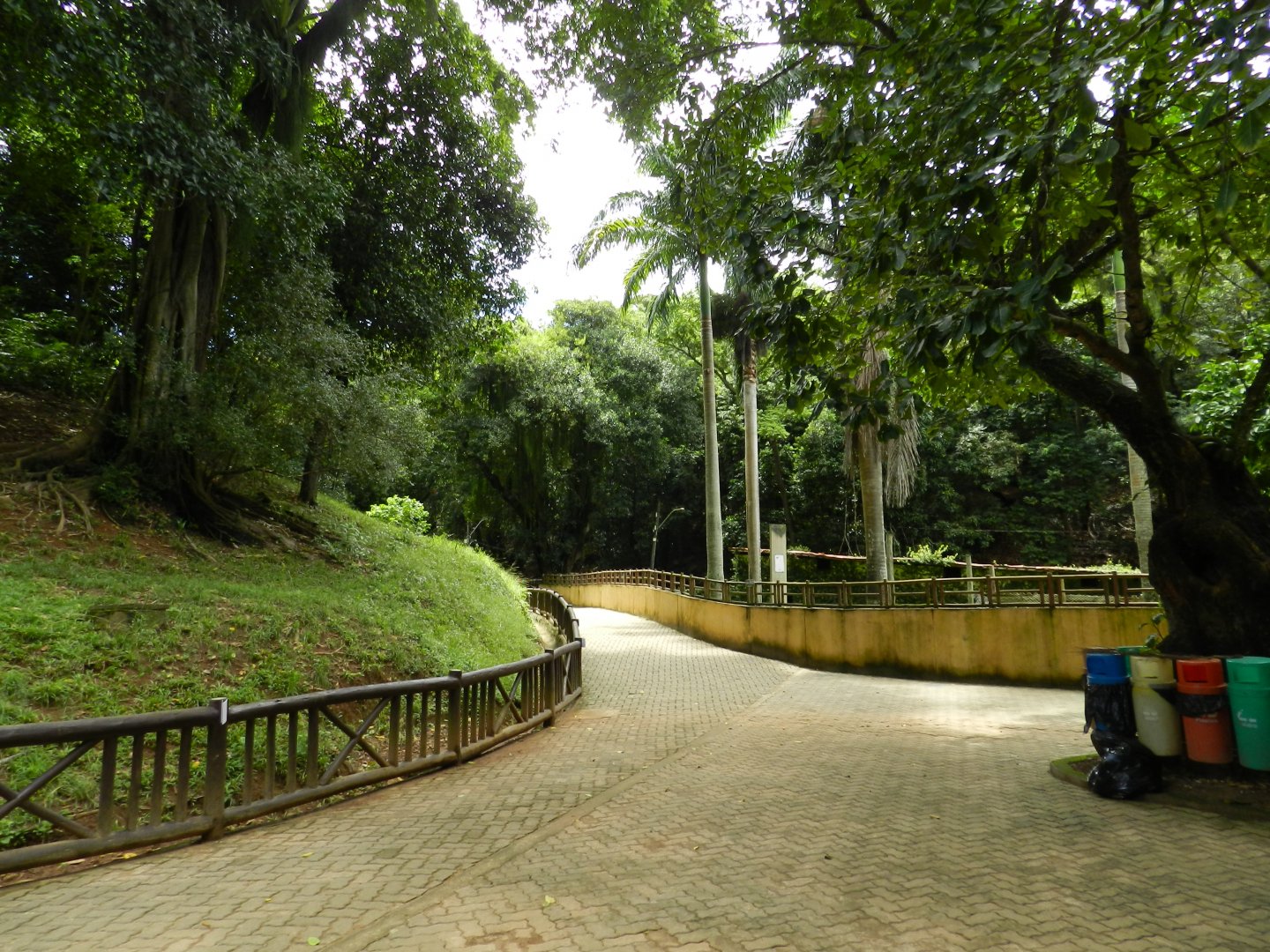 Square - Salvador zoo (PZGV)