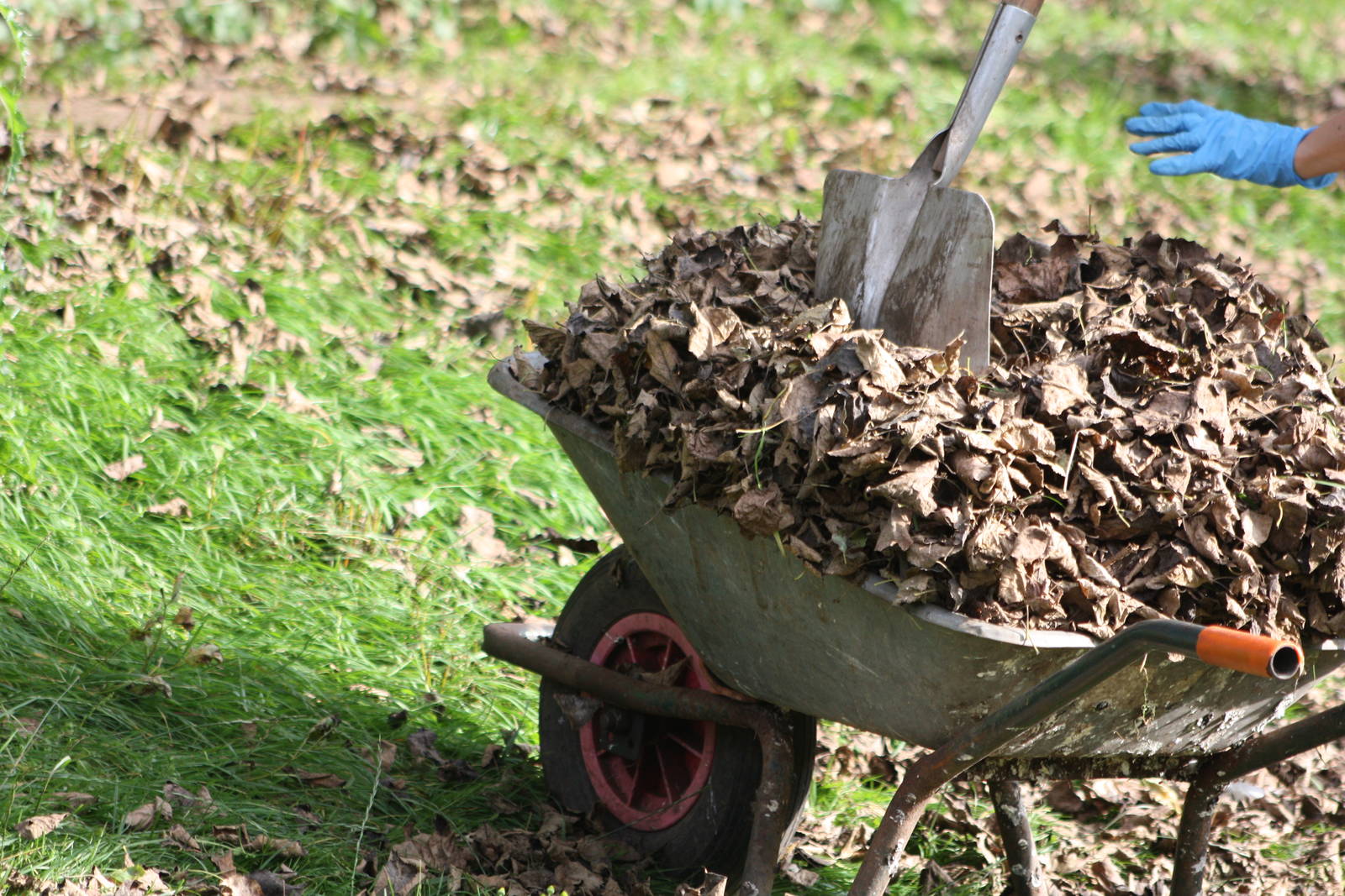 Squash them down, 12th September 2014
