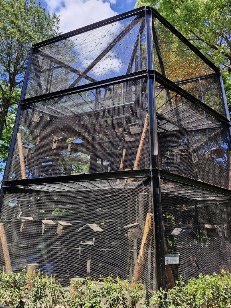 Squirrel breeding tower