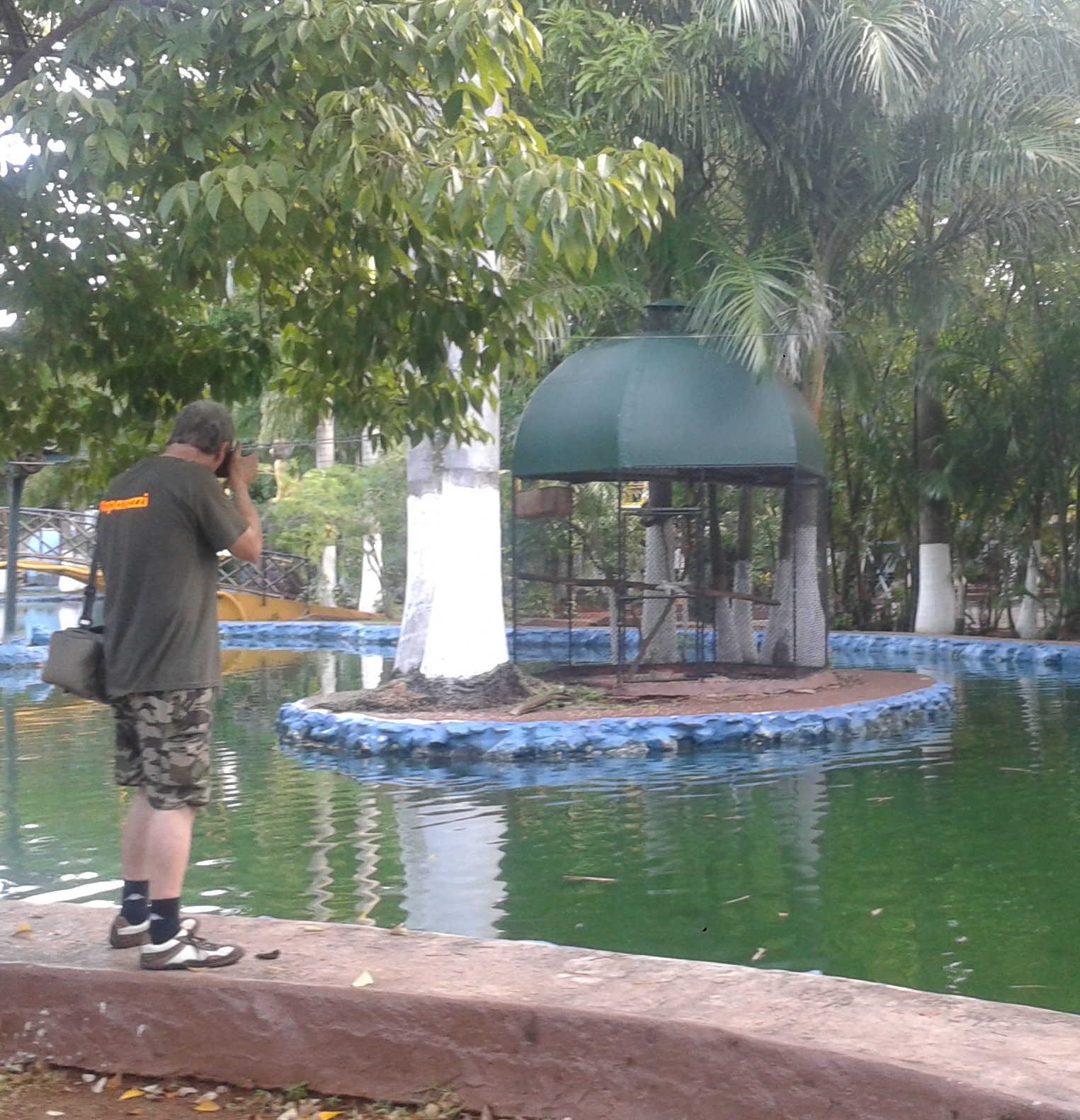 Squirrel cage on an island