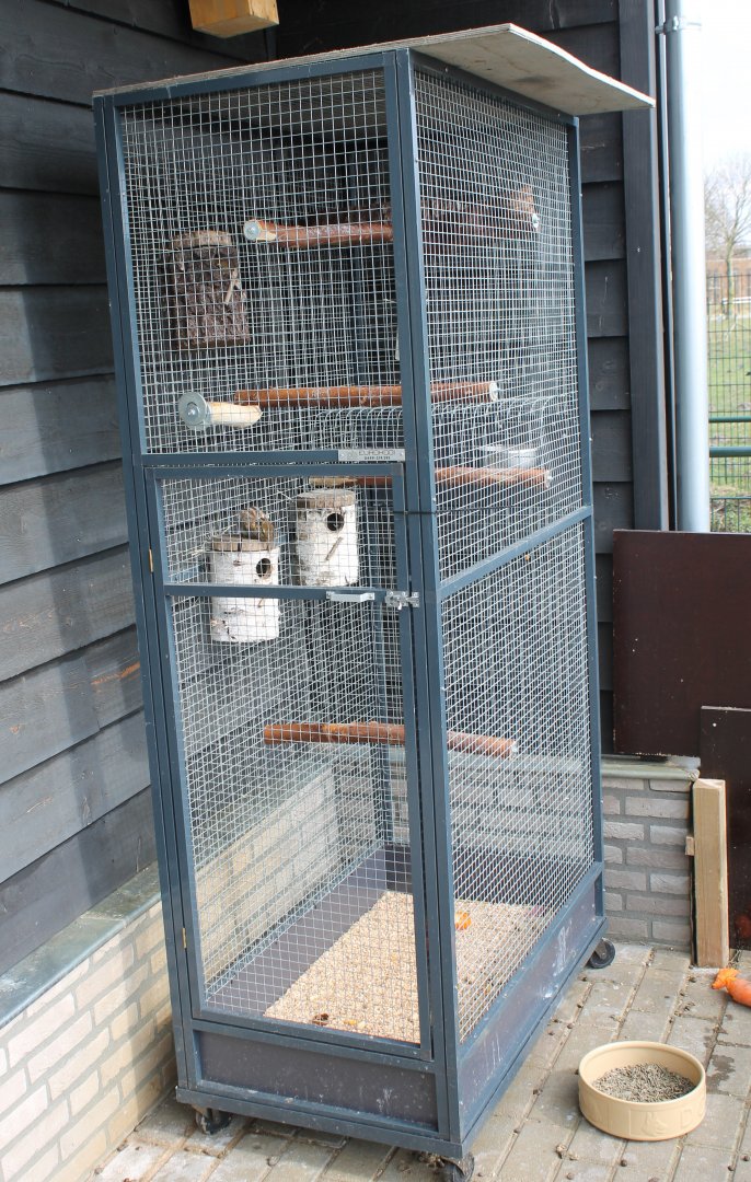 Squirrel-cage