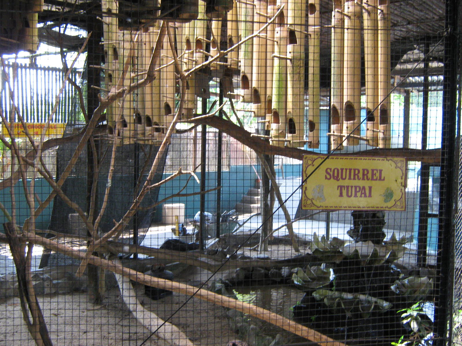 squirrel cage