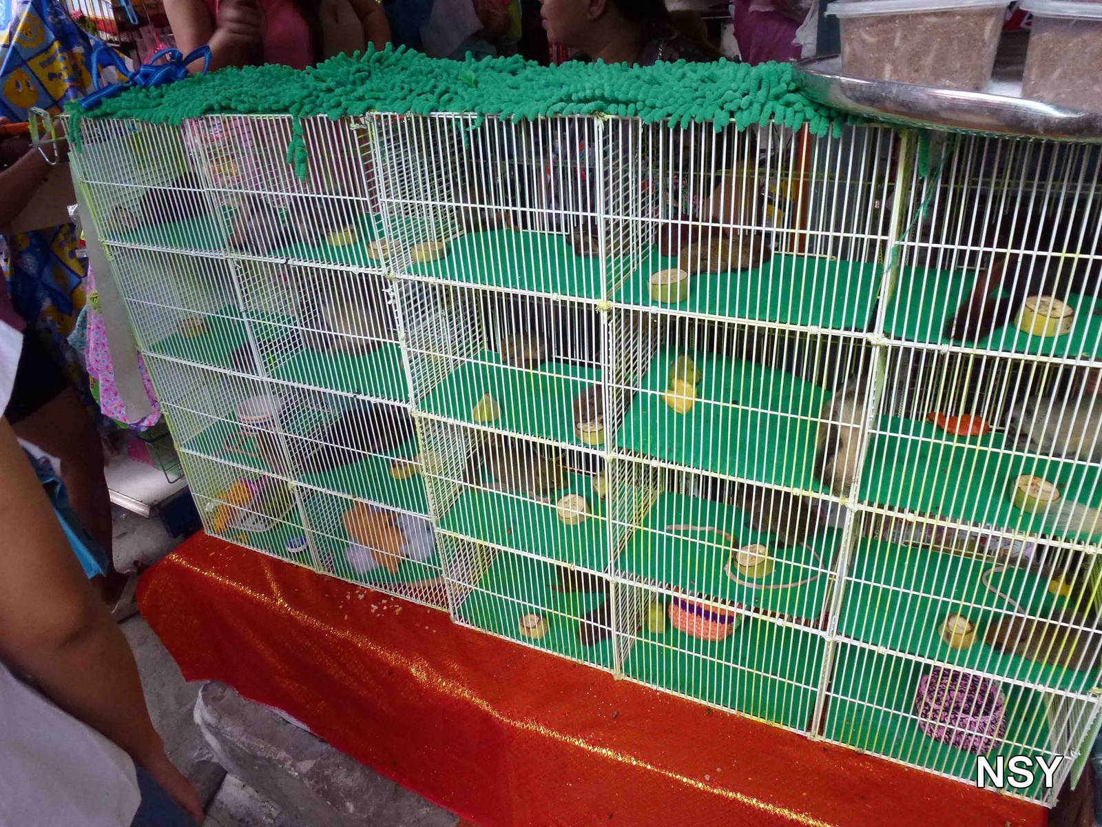 Squirrel cages - Chatuchak market, June 2013.
