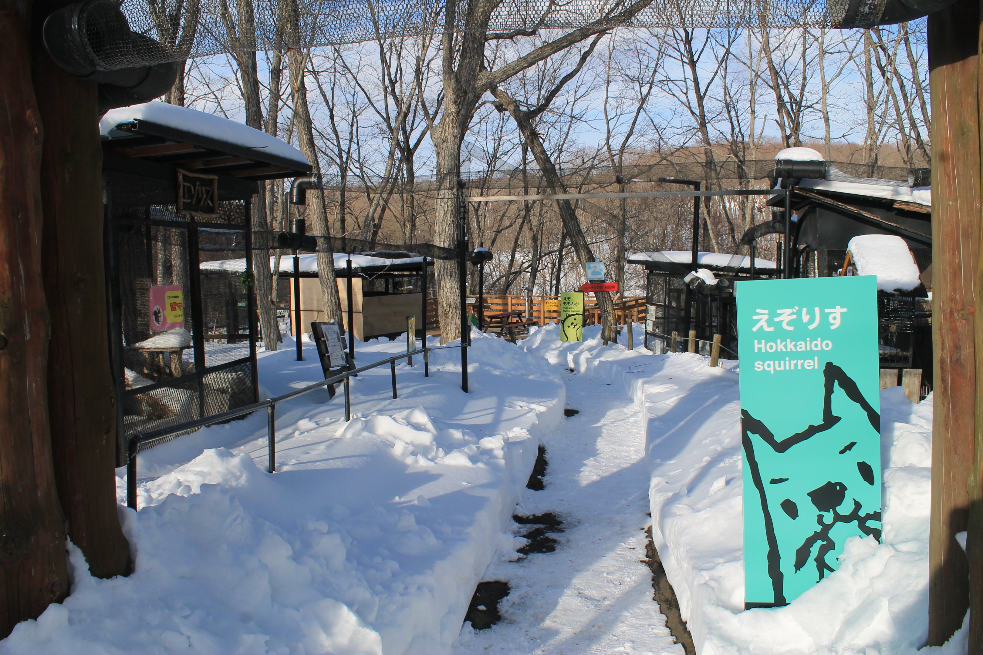 Squirrel cages, Kushiro Zoo