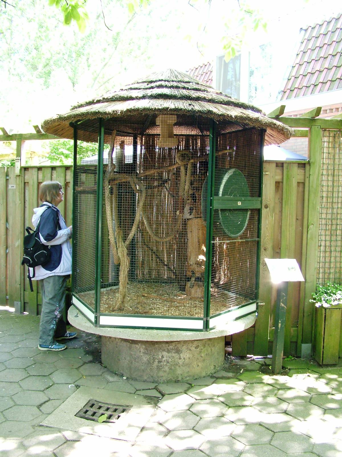 Squirrel Enclosure at Best, 02/06/12