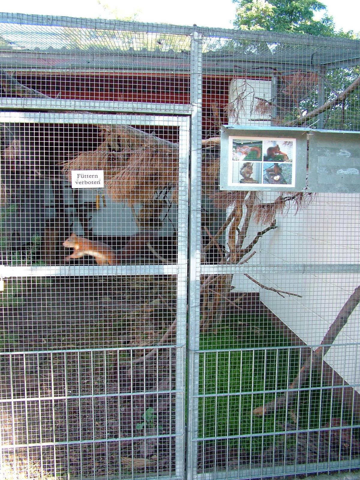 Squirrel Enclosure at Vogelpark Reilingen, 06/09/2010
