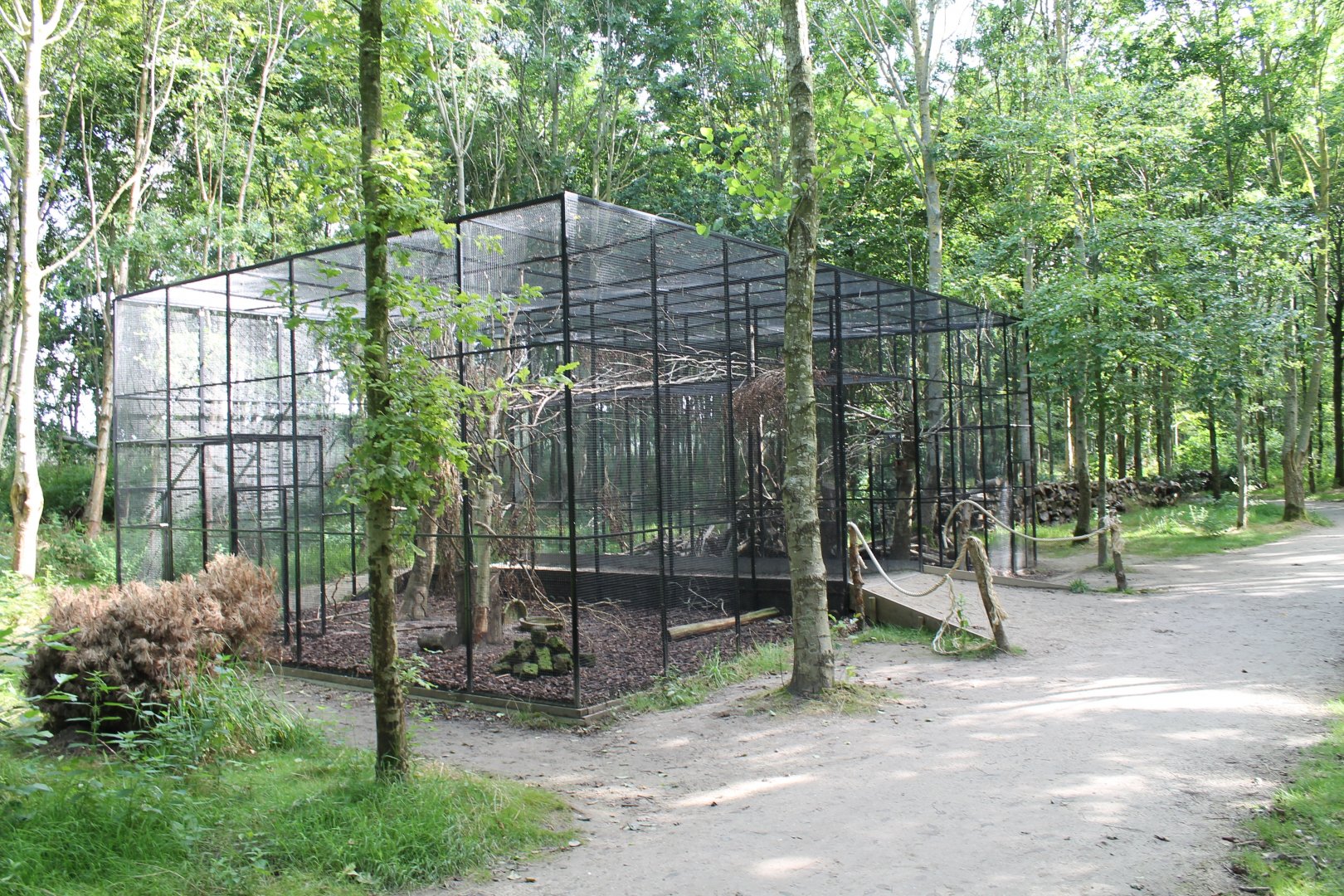 Squirrel-enclosure