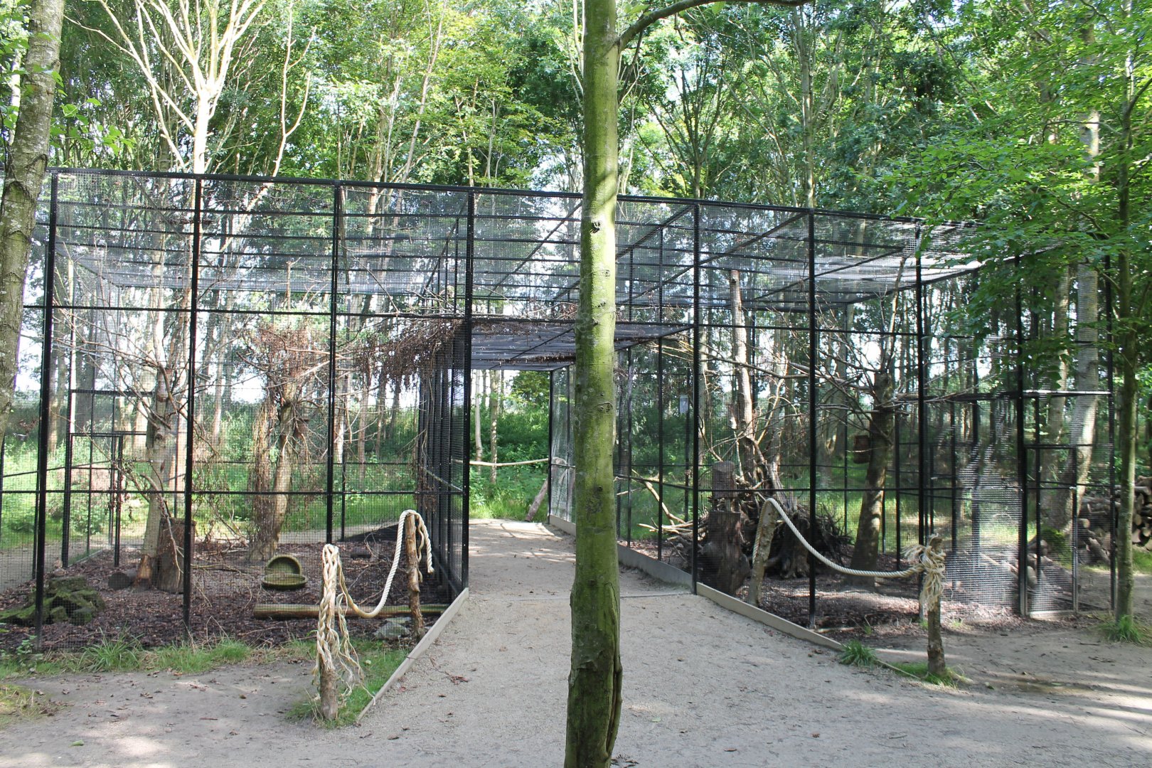 Squirrel-enclosure