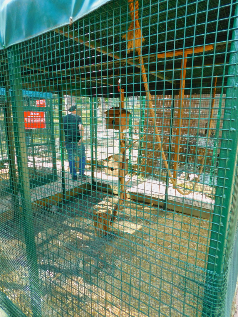 Squirrel Encosure at Park Of Istanbul