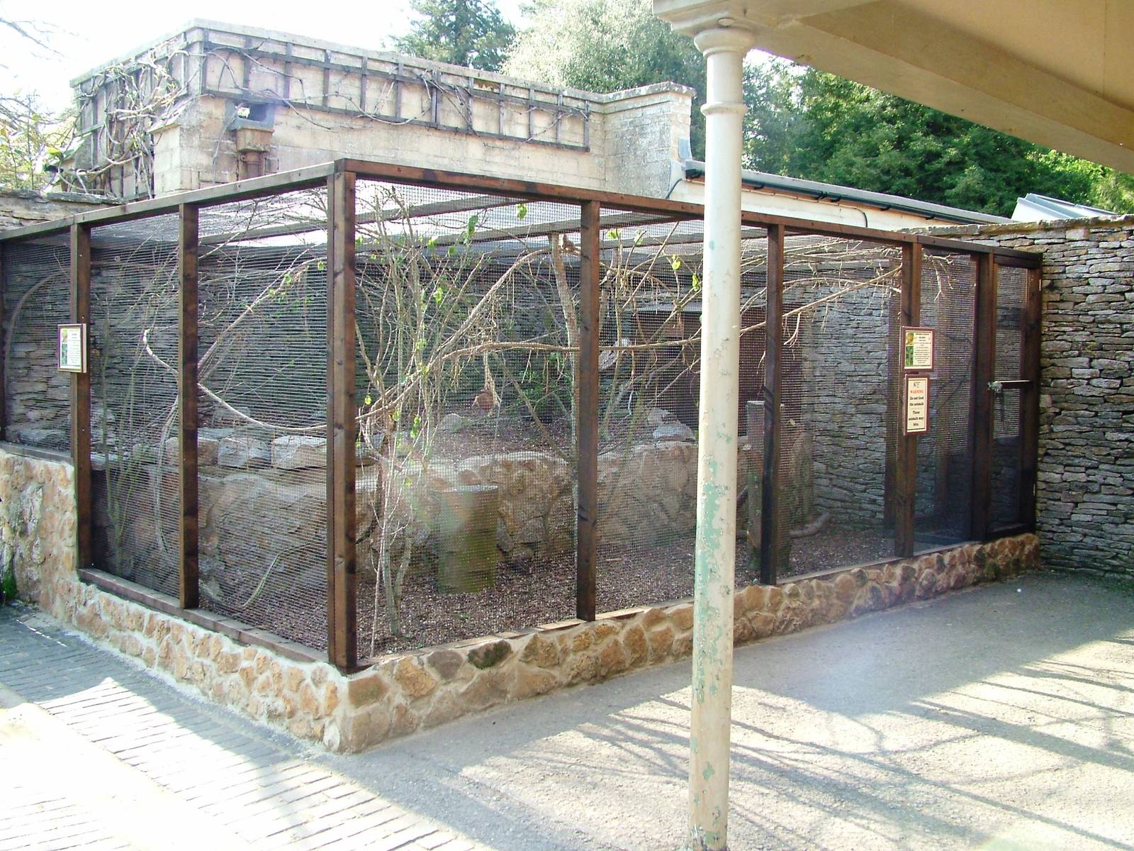 Squirrel Exhibit at Cotswold WP, 12/05/12