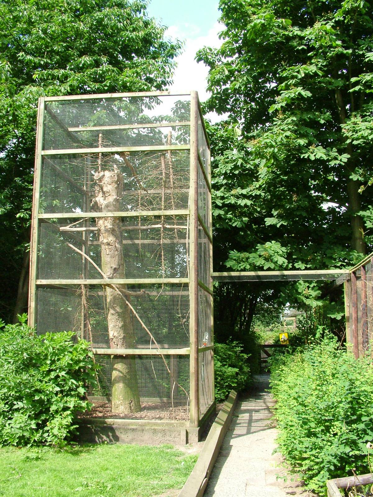 Squirrel Exhibit at De Paay, 02/06/12