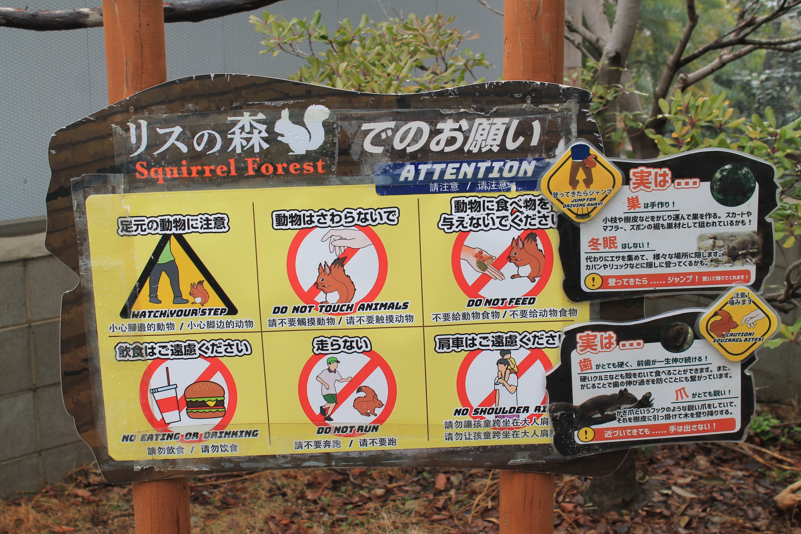 Squirrel Forest signage