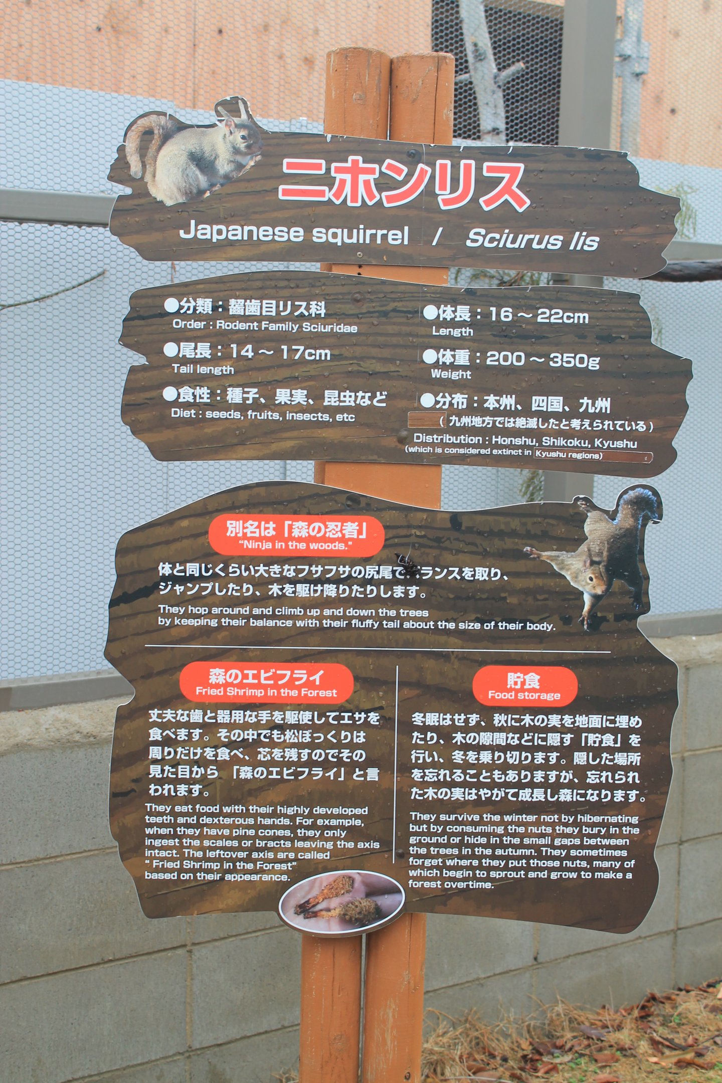 Squirrel Forest signage