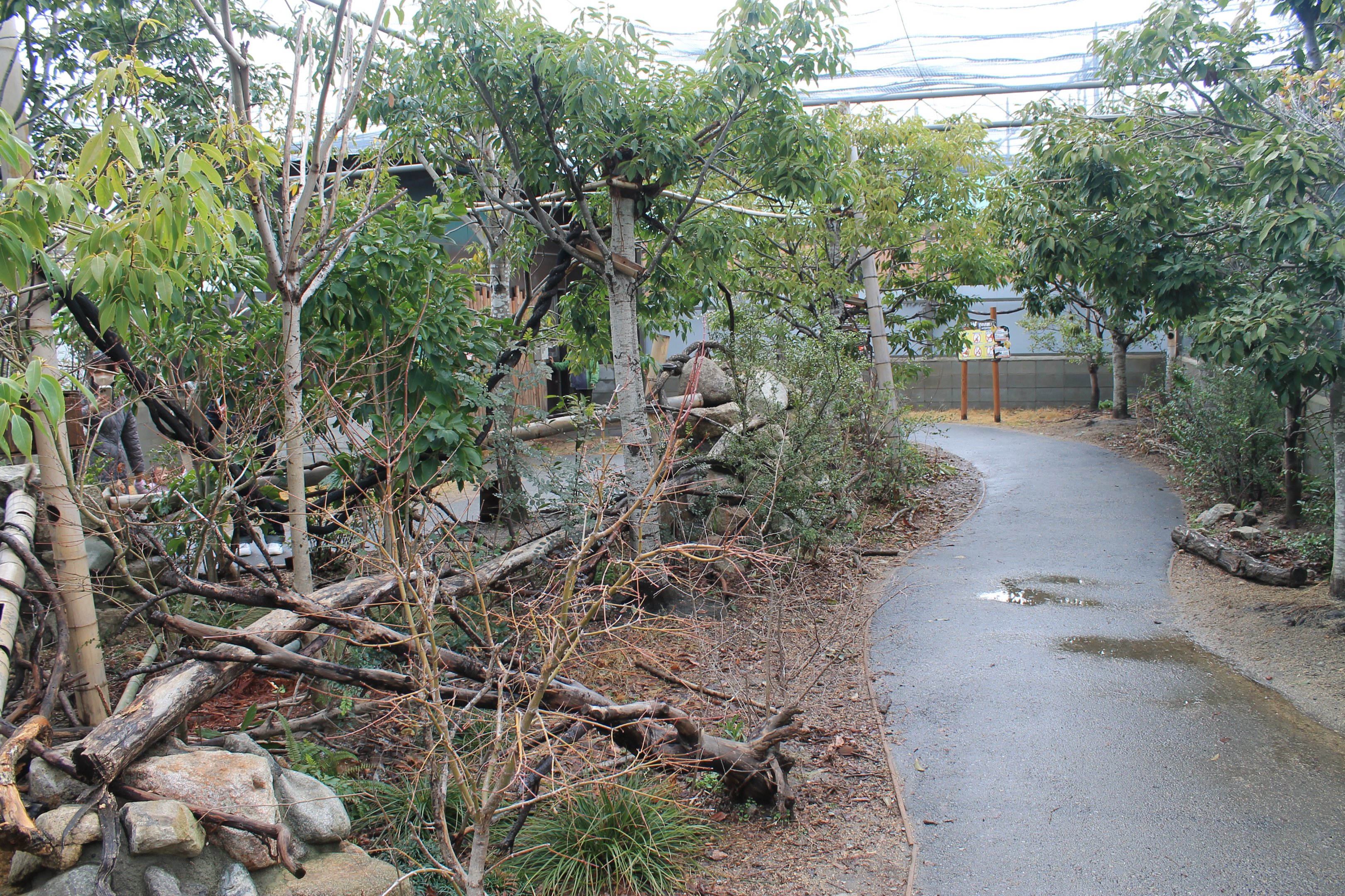 Squirrel Forest (walk-through enclosure)