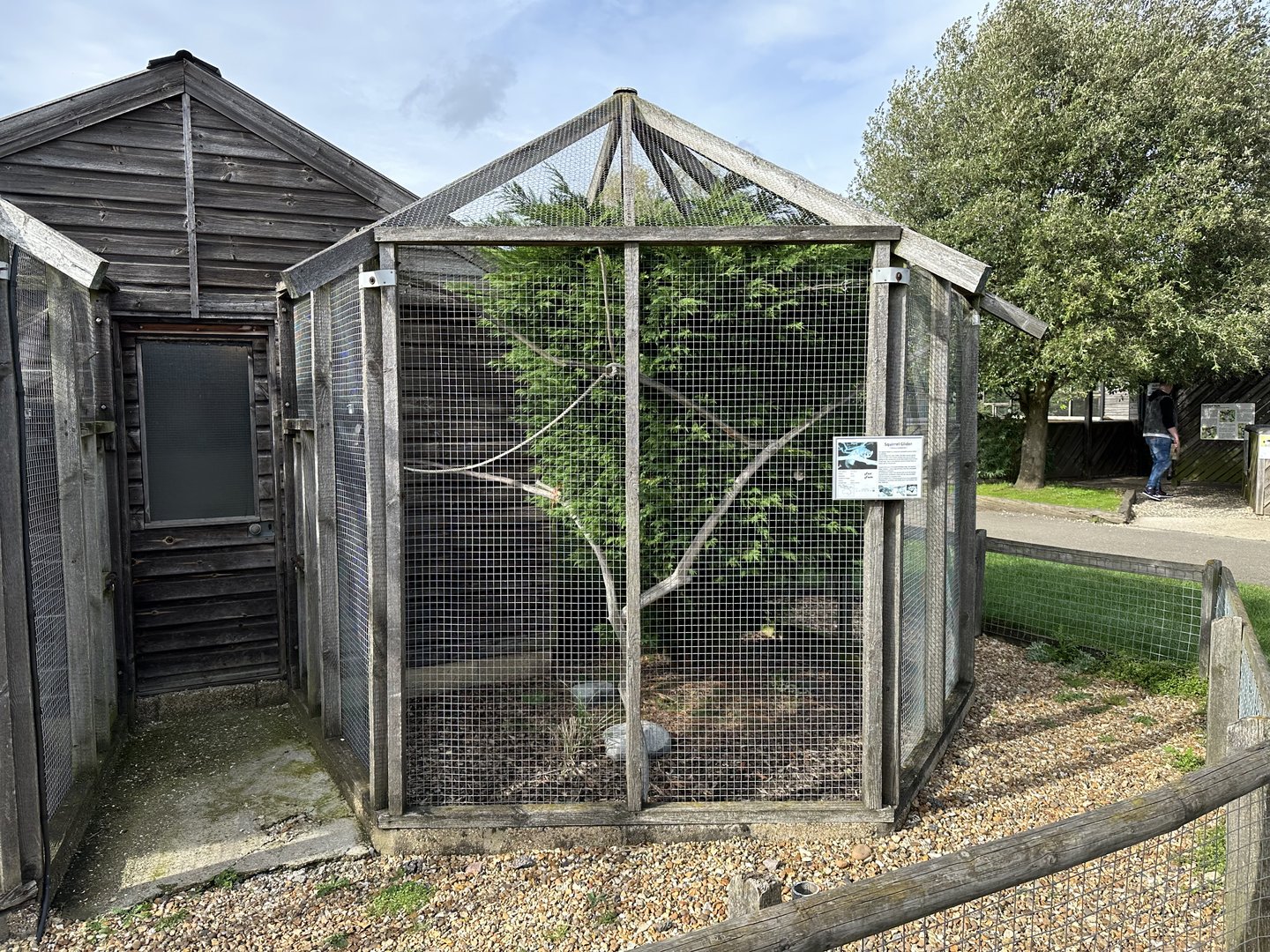 Squirrel Glider Enclosure at Hamerton Zoo Park (October 2023)
