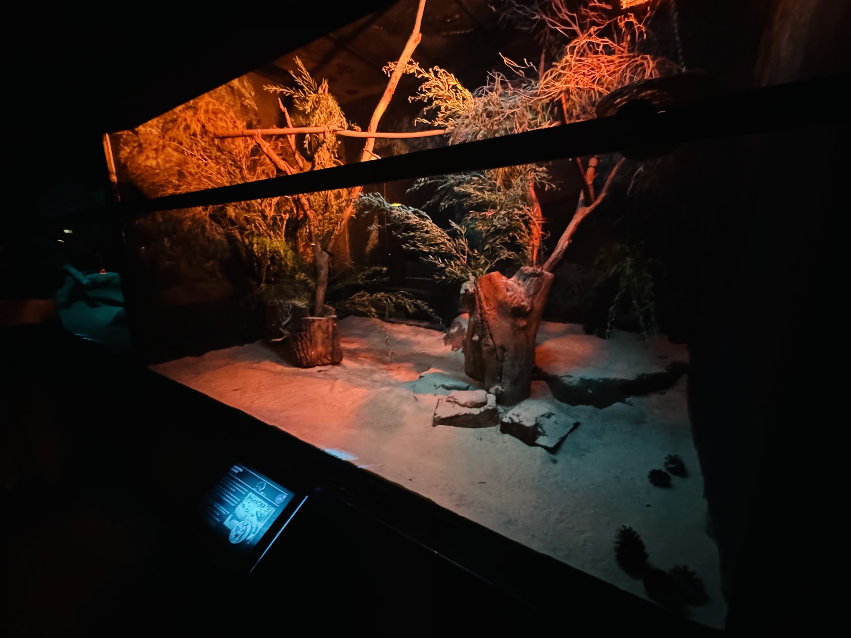 Squirrel glider enclosure